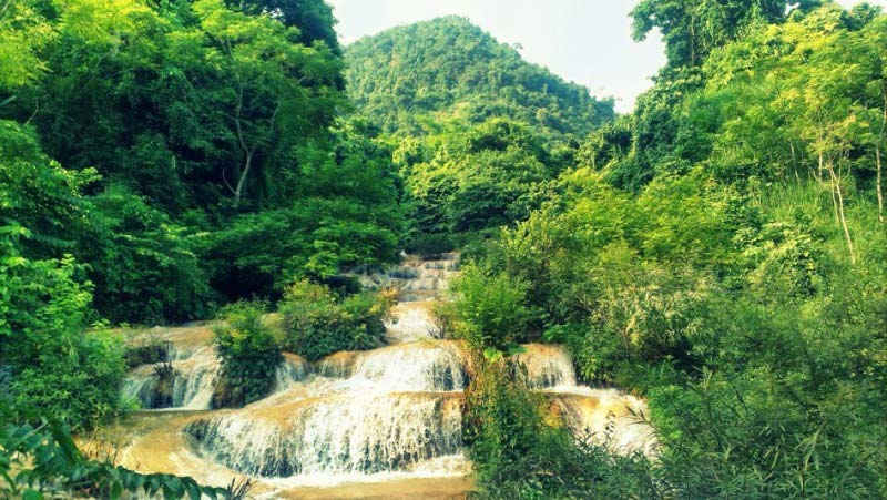 Day 11: Cuc phuong national park (B)