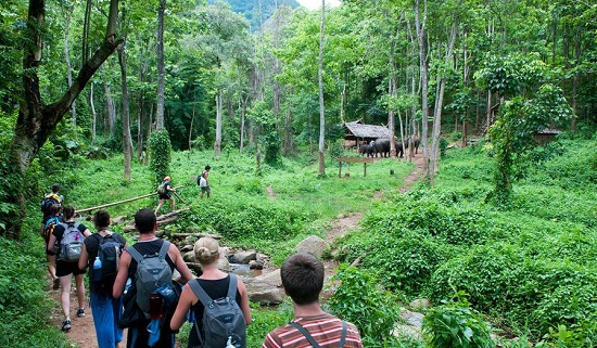 Day 17: Cuc Phuong National Park (B)